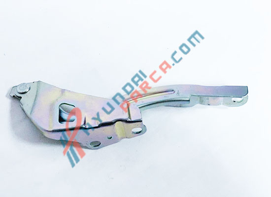 KAPUT MENTEŞESİ SAĞ BLUE 79120-1R000-YS